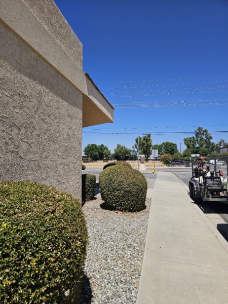 Green Lupus Solutions property maintenance work
